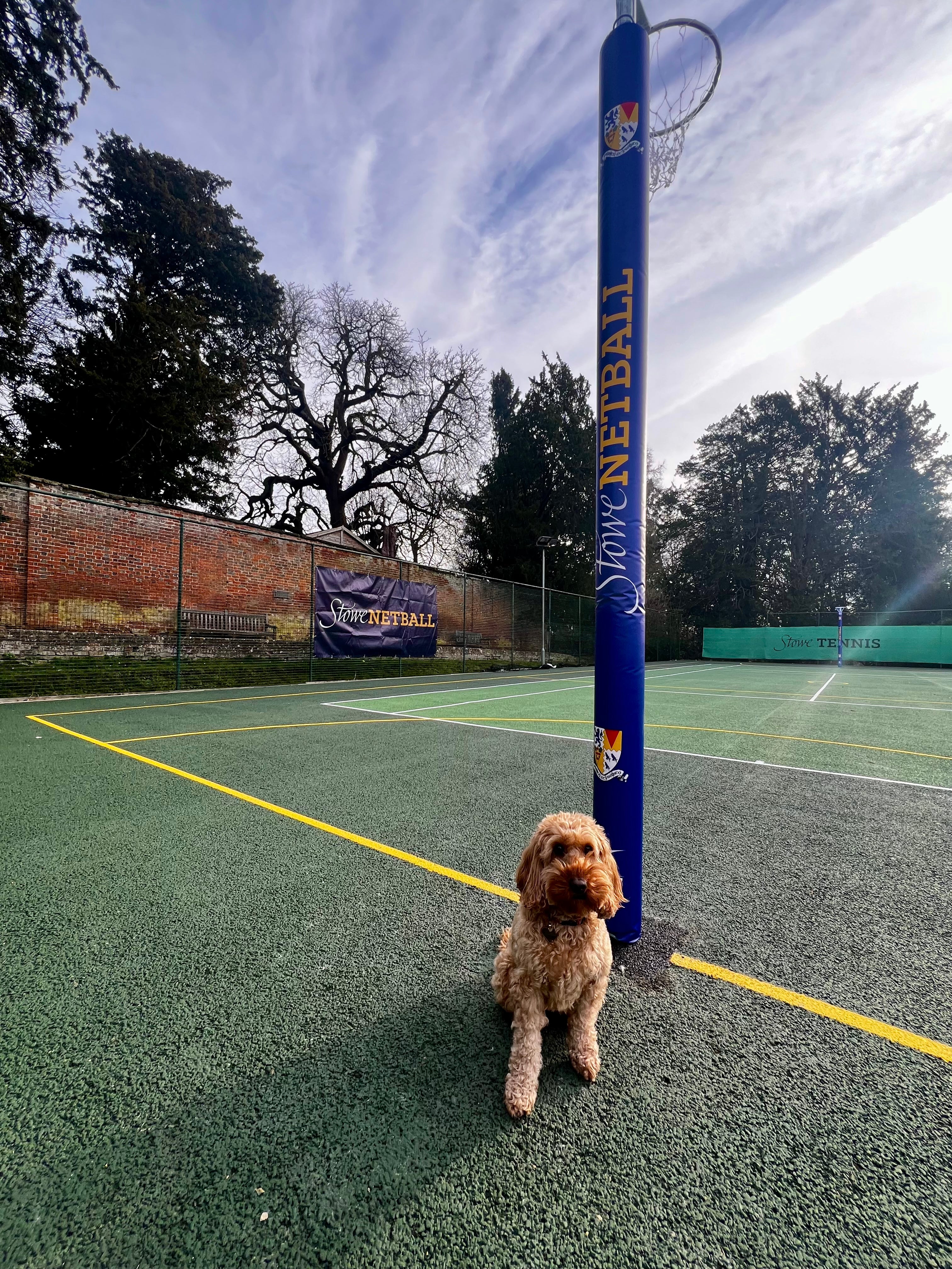 Gilbert Custom Printed Netball Post Protectors (Pair)