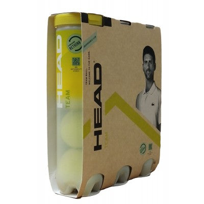 Head Team Tennis Balls (12)