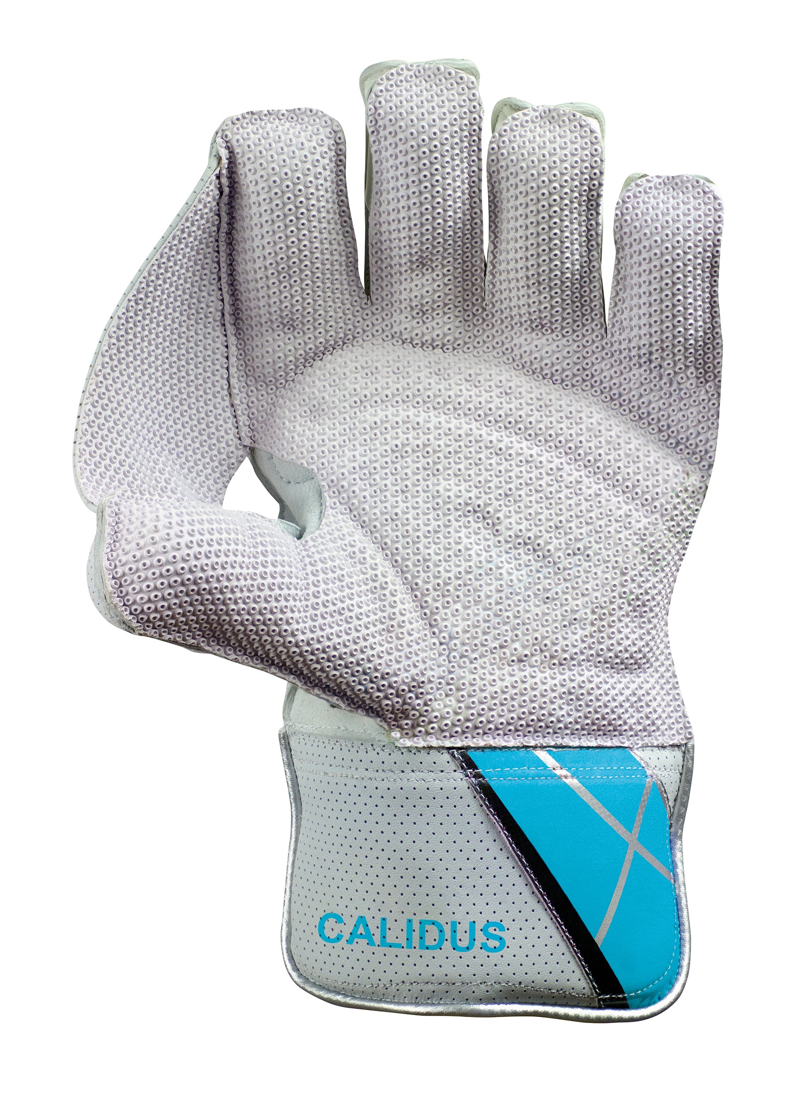 Hunts County Calidus Wicket Keeping Gloves