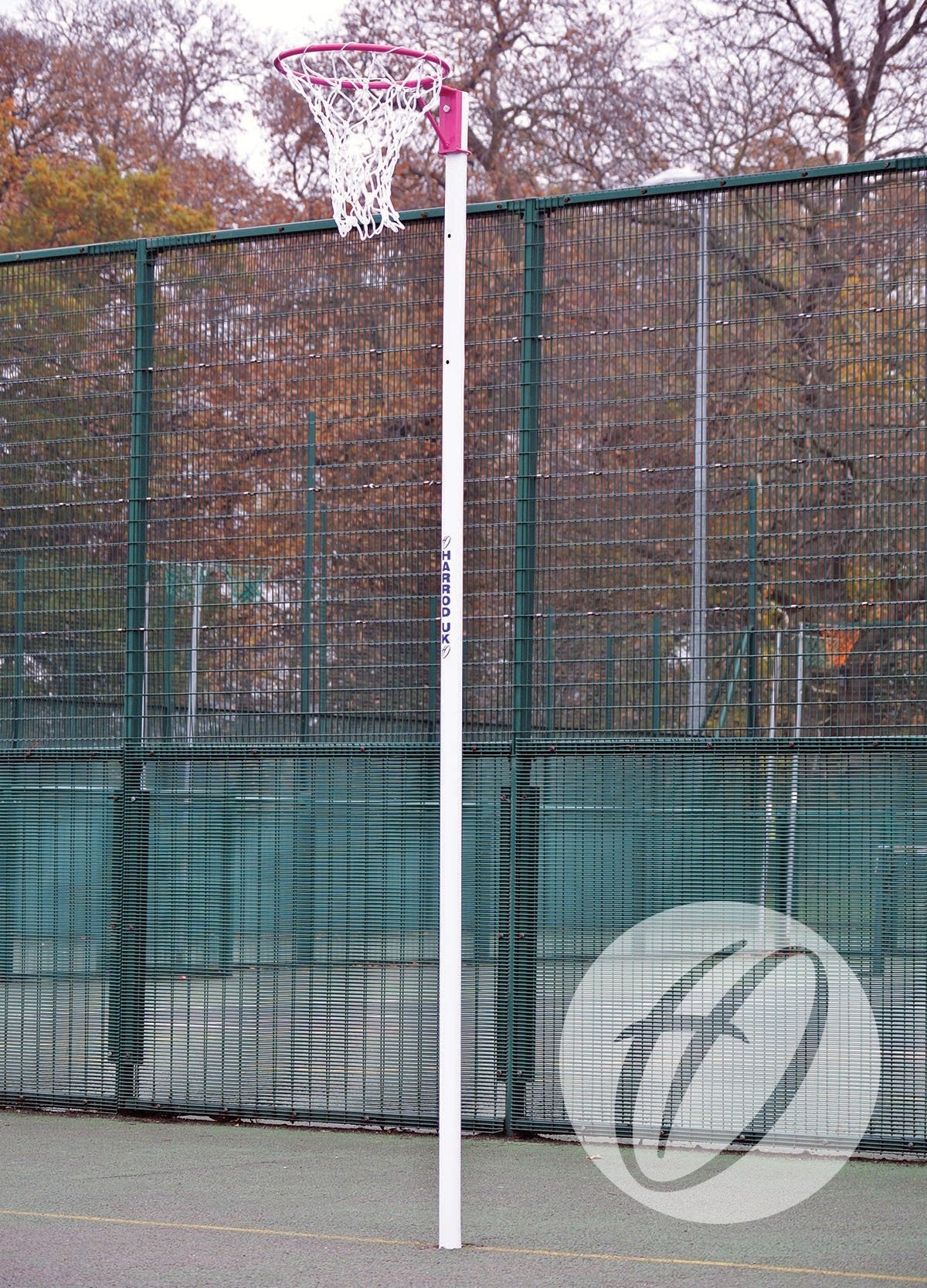 Pink Netball Posts - Socketed, 16MM Ring