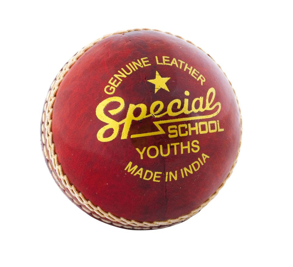 Readers Special Schools Cricket Ball