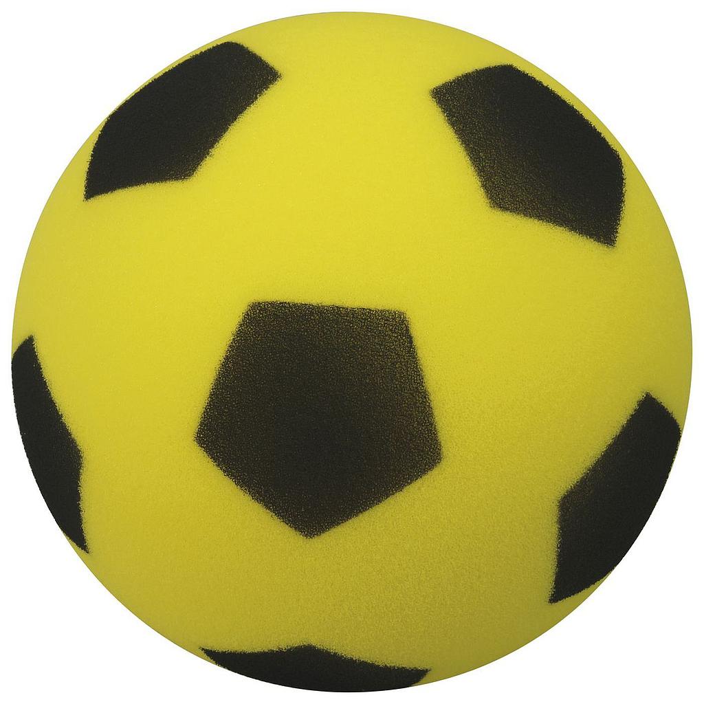 Precision "Painted" Foam Ball (High Density)