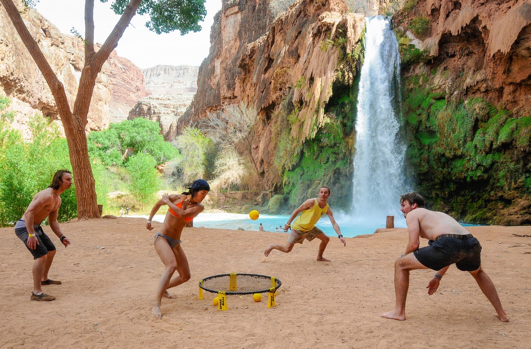 Spikeball Standard Set